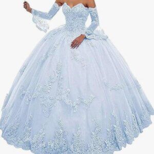 Cinderella Style Quinceanera Dress Detachable Long Sleeve  Prom